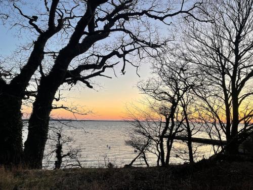 a sunset over the water with trees in the foreground at Holiday home in beautiful nature in Vordingborg