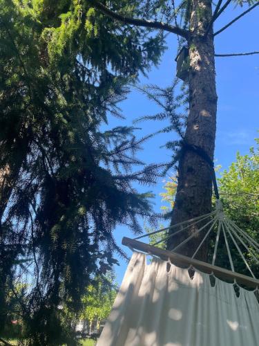 a hammock in front of a tree at Holiday home in beautiful nature in Vordingborg