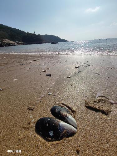 a black object in the sand on a beach at 牛角一邊厝 in Nangan
