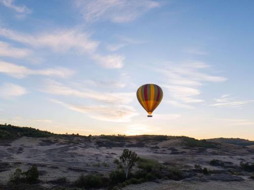 a hot air balloon flying in the sky at The William Inglis Mgallery in Warwick Farm