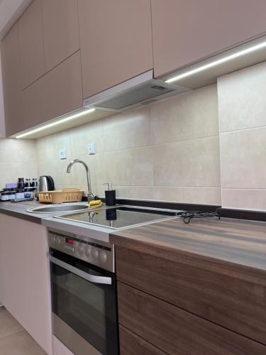 a kitchen with a sink and a stove at LiboroApartments in Niš