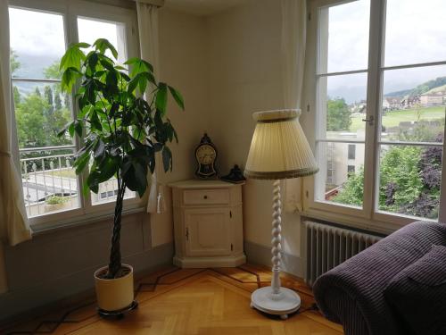 a living room with a lamp and a plant at VILLA Turmmattli in Sarnen