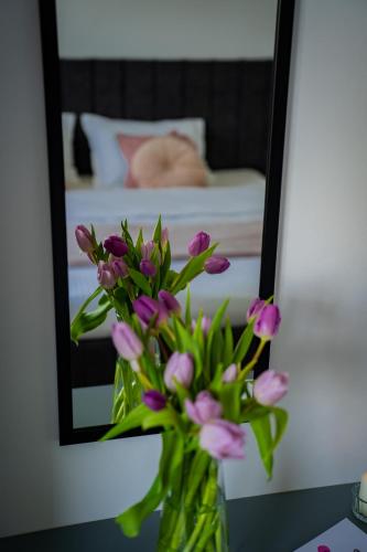 Fotografie z fotogalerie ubytování Donilads Properties - Home Everywhere, Relax & Nature Escape v destinaci 2 Mai