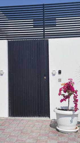 a plant in a pot sitting in front of a building at July Chalet with Heated Pool in Nizwa