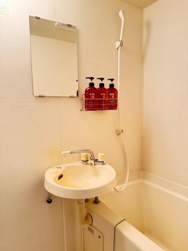 a bathroom with a sink and a mirror at Camelot House in Fukuoka