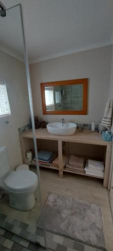 un bagno con lavandino, water e specchio di Amanda's Place a Hermanus