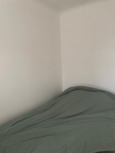 un lit vert dans une chambre avec un mur blanc dans l'établissement Appartement, à Aubervilliers