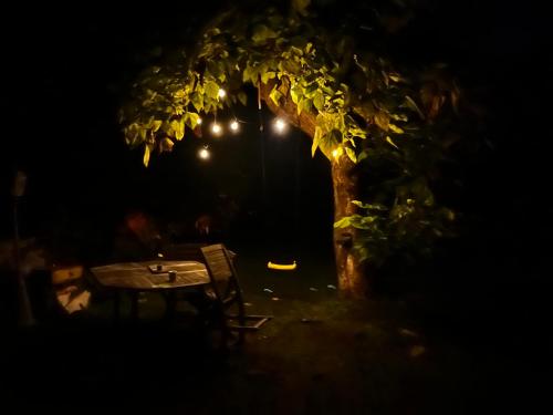 a table and chair under a tree at night at Chez Amélie chambre-location in Saint-Germain-dʼEsteuil