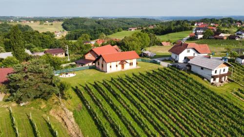 an aerial view of a house on a hill with a vineyard at Guesthouse and Wellness VINEA in Spodnji Ivanjci