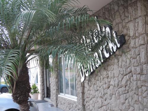 a palm tree in front of a stone wall at Hotel Demarchi in Rio do Sul