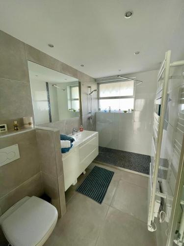 une salle de bain avec un lavabo, des toilettes et une douche dans l'établissement Bel appartement Vue sur la Marina Classé 3 étoiles, à Villeneuve-Loubet
