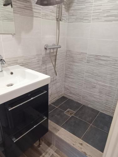 une salle de bain avec un lavabo et une douche dans l'établissement Studio familial avec terrasse et parking à proximité de la gare TGV Aix-en Provence, à Cabriès