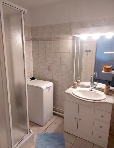 une salle de bain avec un lavabo, des toilettes et une douche dans l'établissement Joli appartement proche gare, à Molsheim