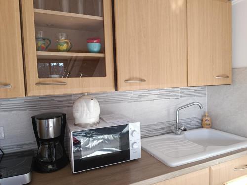 un comptoir de cuisine avec un micro-ondes et un évier dans l'établissement Studio familial avec terrasse et parking à proximité de la gare TGV Aix-en Provence, à Cabriès
