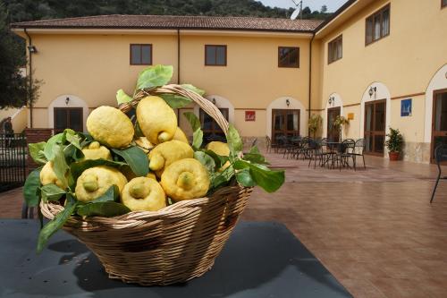Zdjęcie z galerii obiektu Agriturismo Villa Orchidea w mieście Ali Terme