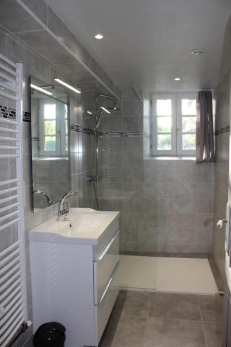 une salle de bain avec un lavabo et une douche dans l'établissement La Longère de Quily en Brocéliande 12 couchages bain nordique, à Villeder