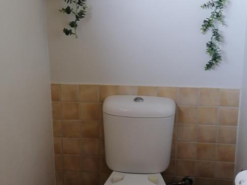 a white toilet in a bathroom with plants on the wall at 22 on Main Guesthouse Walvis Bay in Walvis Bay