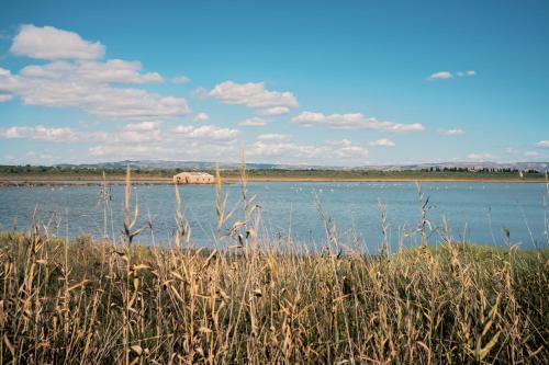 a large body of water with an elephant in the distance at Dea's Rooms in Noto