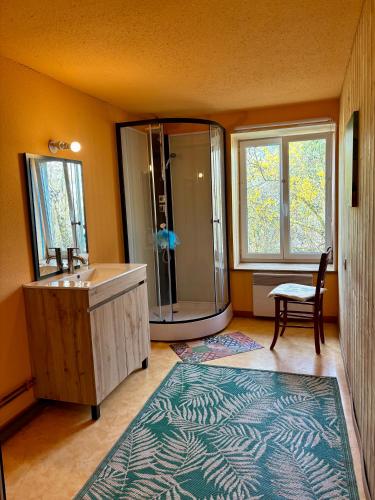 une salle de bain avec douche et lavabo dans l'établissement Domaine de Juliette, à Confracourt