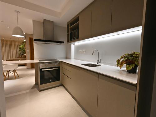 a kitchen with a sink and a counter top at ABIBA Apart-Hotel & SPA in Asuncion