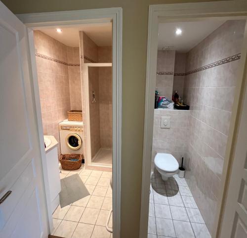 La salle de bains est pourvue de toilettes et d'une douche à l'italienne. dans l'établissement Le Marco polo appartement T3 les pieds dans l 'eau et garage, au Grau-du-Roi