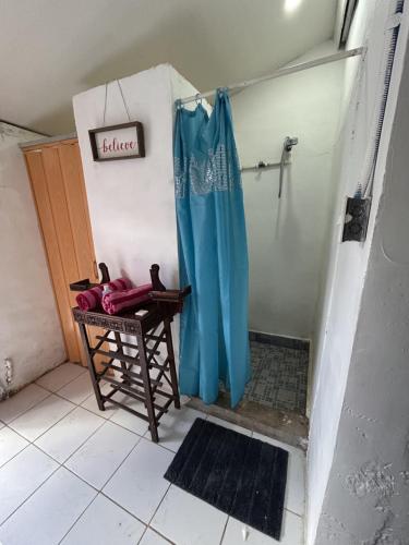 a bathroom with a shower with a blue shower curtain at La Casita de Nataly in Santa Ana