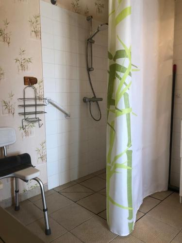 une salle de bain avec une douche avec un rideau de douche dans l'établissement La Maison Amayla vous accueille, à Saint-Priest-des-Champs