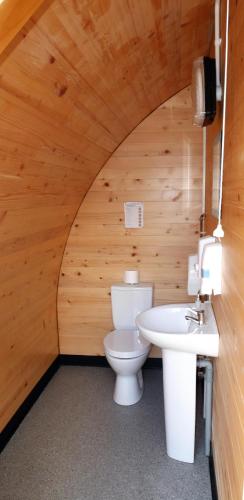 a bathroom with a toilet and a sink at Rostrevor Mountain Lodge - Glamping Pods - Revive Sauna & Hot Tubs in Rostrevor