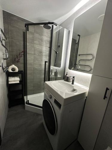 a bathroom with a sink and a shower at Apartment - Kauno 23 in Klaipėda