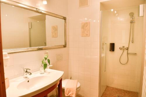 a bathroom with a sink and a shower at Schloss Kapfenstein in Kapfenstein