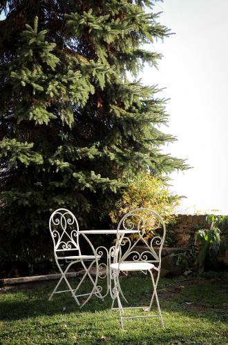 a white bench sitting in the grass next to a tree at Schloss Kapfenstein in Kapfenstein