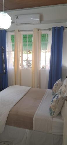 a bedroom with a large bed with blue curtains at The ARC in Scarborough