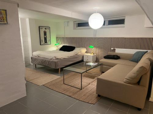 a living room with a couch and a bed at Large basement apartment in the middle of Odense in Odense