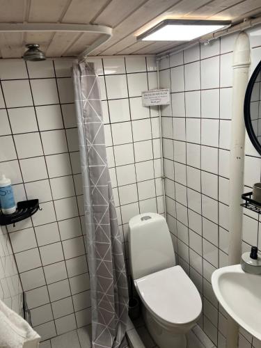 a bathroom with a toilet and a sink at Large basement apartment in the middle of Odense in Odense