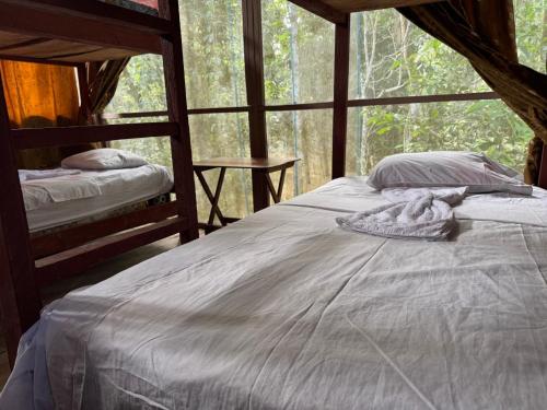 a bedroom with two beds and a window with trees at Estación Biológica Santa María de Fátima II Zona in Iquitos