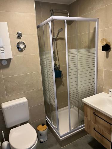 a bathroom with a shower and a toilet and a sink at Ferienwohnung am Waltenberg in Winterberg