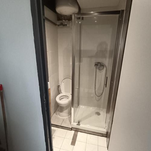une salle de bain avec douche et toilettes dans l'établissement Studio porte de Paris, à Bagnolet