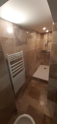 une salle de bain avec toilettes et douche dans l'établissement Studio indépendant au calme proche d'Aix en Provence, à Aix-en-Provence