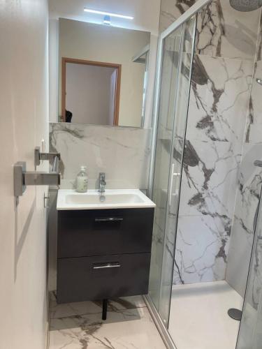 une salle de bain avec un lavabo et une douche dans l'établissement Logement entier appartement Bourges PARKING GRATUIT, à Bourges