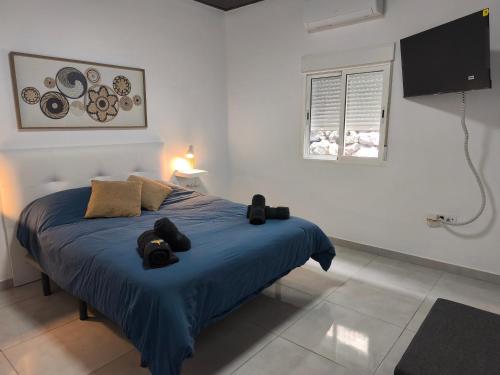 a bedroom with a bed with a blue blanket at APARTAMENTOS MALPAÍS in Los Barros