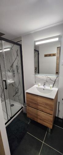 a bathroom with a sink and a shower at Studio mezzanine centre-ville in Elbeuf