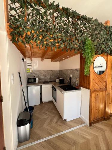 une cuisine avec un plafond décoré de plantes dans l'établissement Appartement vue sur la Basilique - Boulogne-sur-mer, à Boulogne-sur-Mer