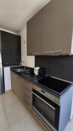 Kuchyň nebo kuchyňský kout v ubytování Mitropoleos Luxury Suites