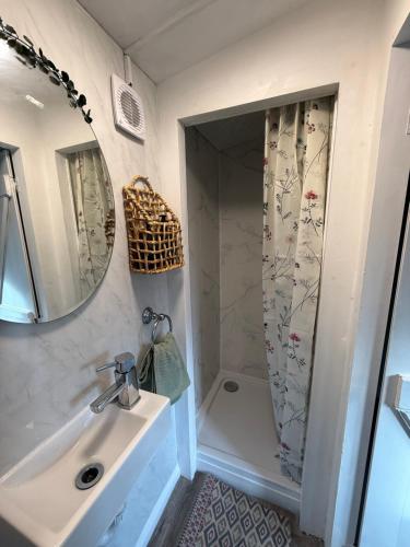 a bathroom with a sink and a shower at Fennor Park Lodge in Oldcastle