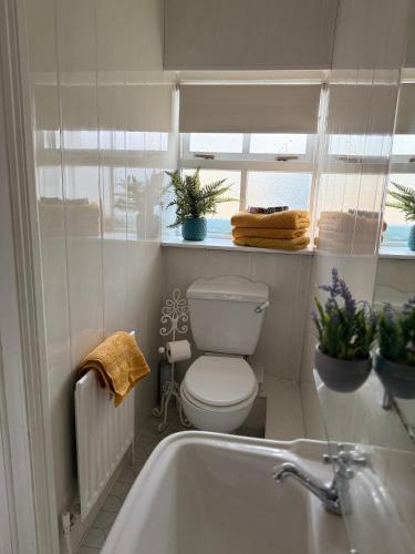 a bathroom with a toilet and a sink and a tub at Fennor Park Lodge in Oldcastle