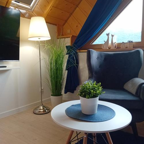 a living room with a couch and a table with a plant at Apartamenty Na Brzegu Szczawnica in Szczawnica