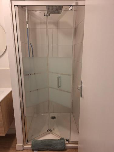 eine Glasdusche mit WC im Bad in der Unterkunft L'Appel De La Forêt - Wifi Fibre, Linge & Parking in Châteaubriant