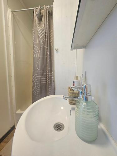 a bathroom with a white sink and a mirror at Cozy Hut with the included Hot Tub-Prime Rentals in Karališkiai