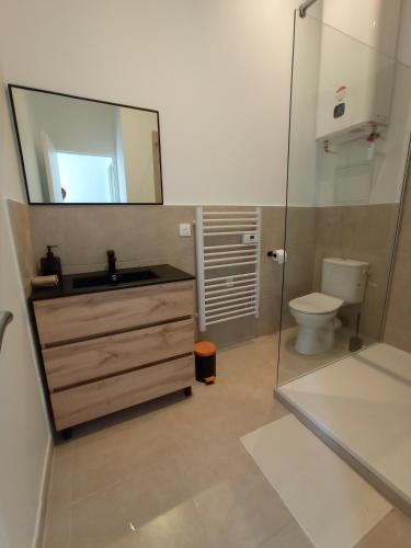 une salle de bain avec un lavabo, des toilettes et un miroir dans l'établissement Le Mimosa des Cévennes, à Anduze