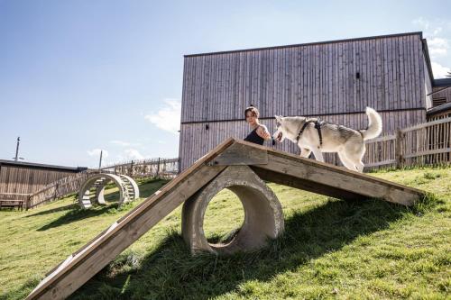 a woman and a dog standing on top of a wooden ramp at Hunderesort Waldeck - 4 Sterne Urlaub mit Hund in Philippsreut